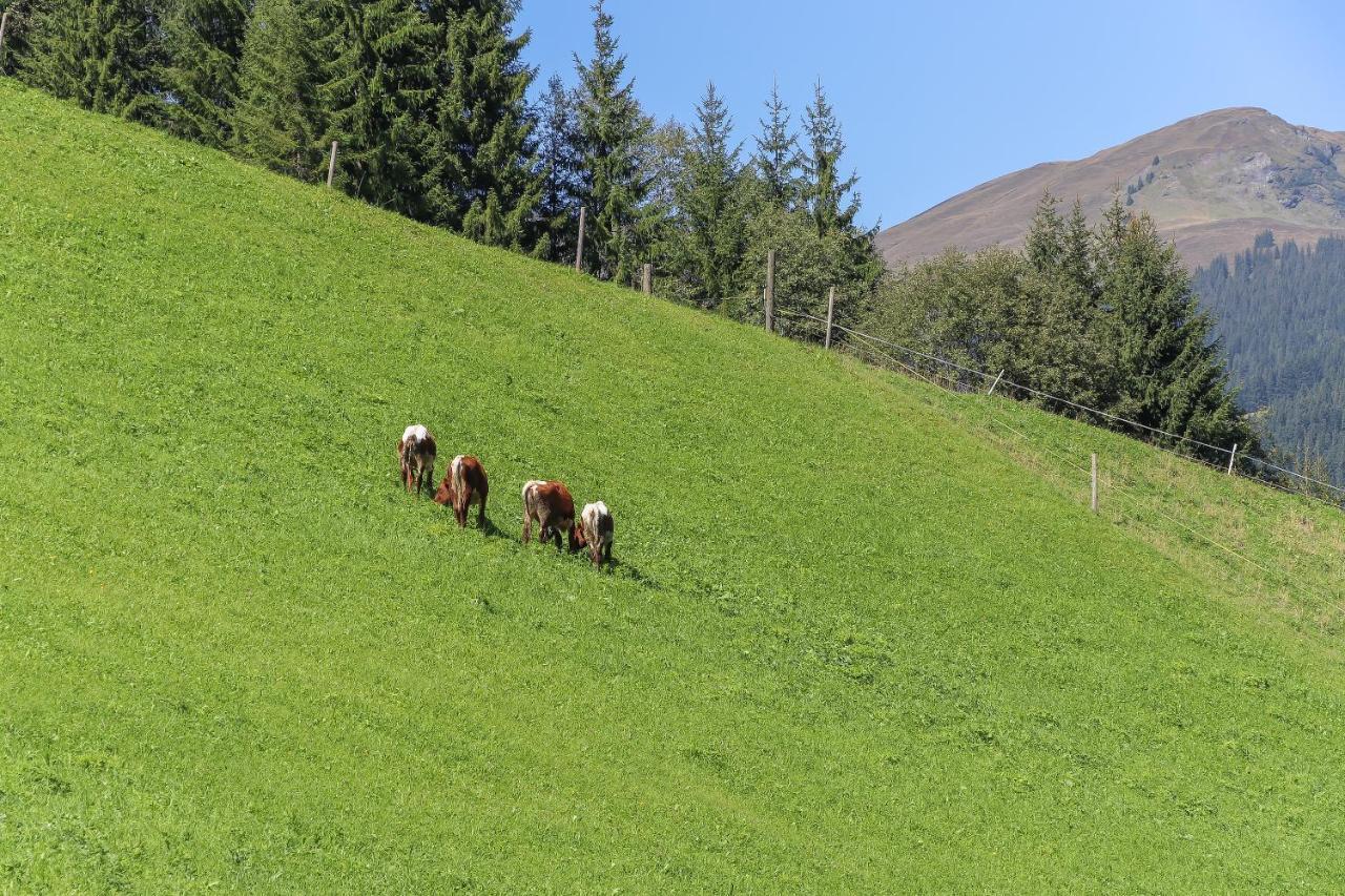 Landhaus Hinterglemm Apartment Saalbach-Hinterglemm Bagian luar foto