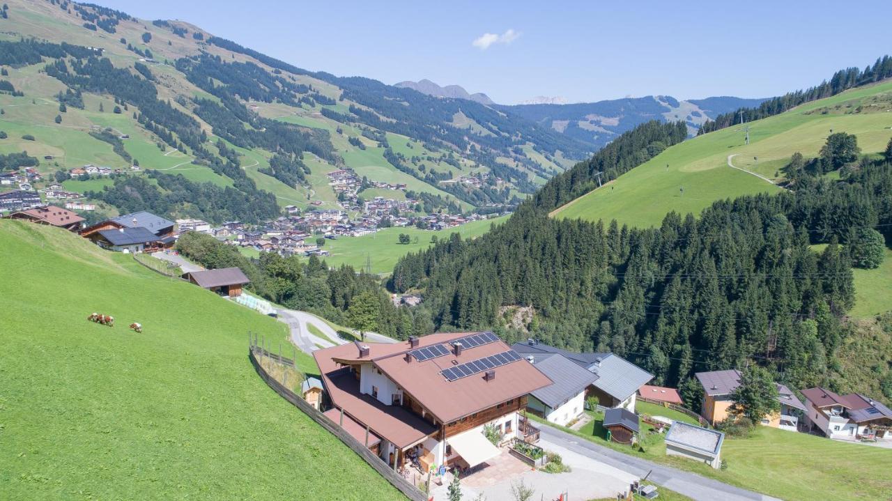 Landhaus Hinterglemm Apartment Saalbach-Hinterglemm Bagian luar foto